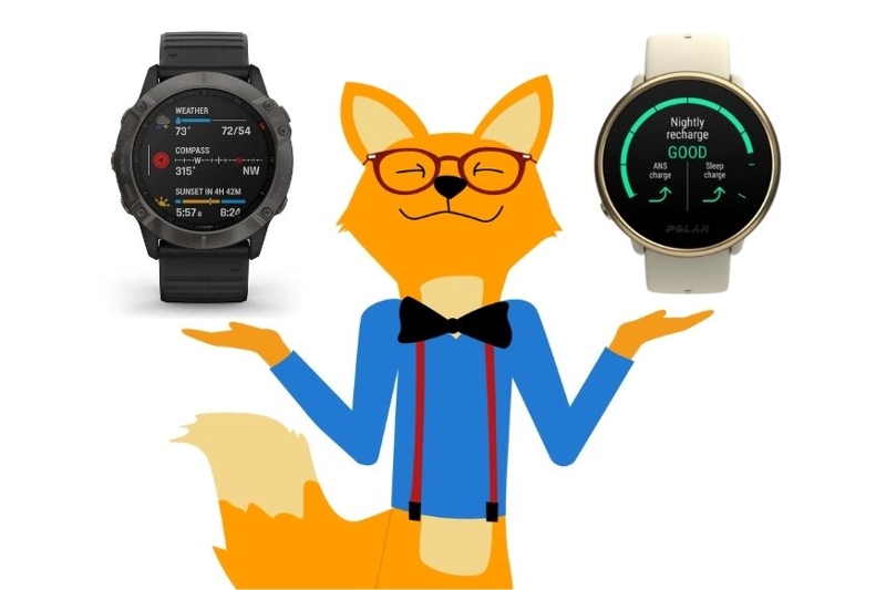 Можно видеть Smart Home Fox с различными фитнес-часами.